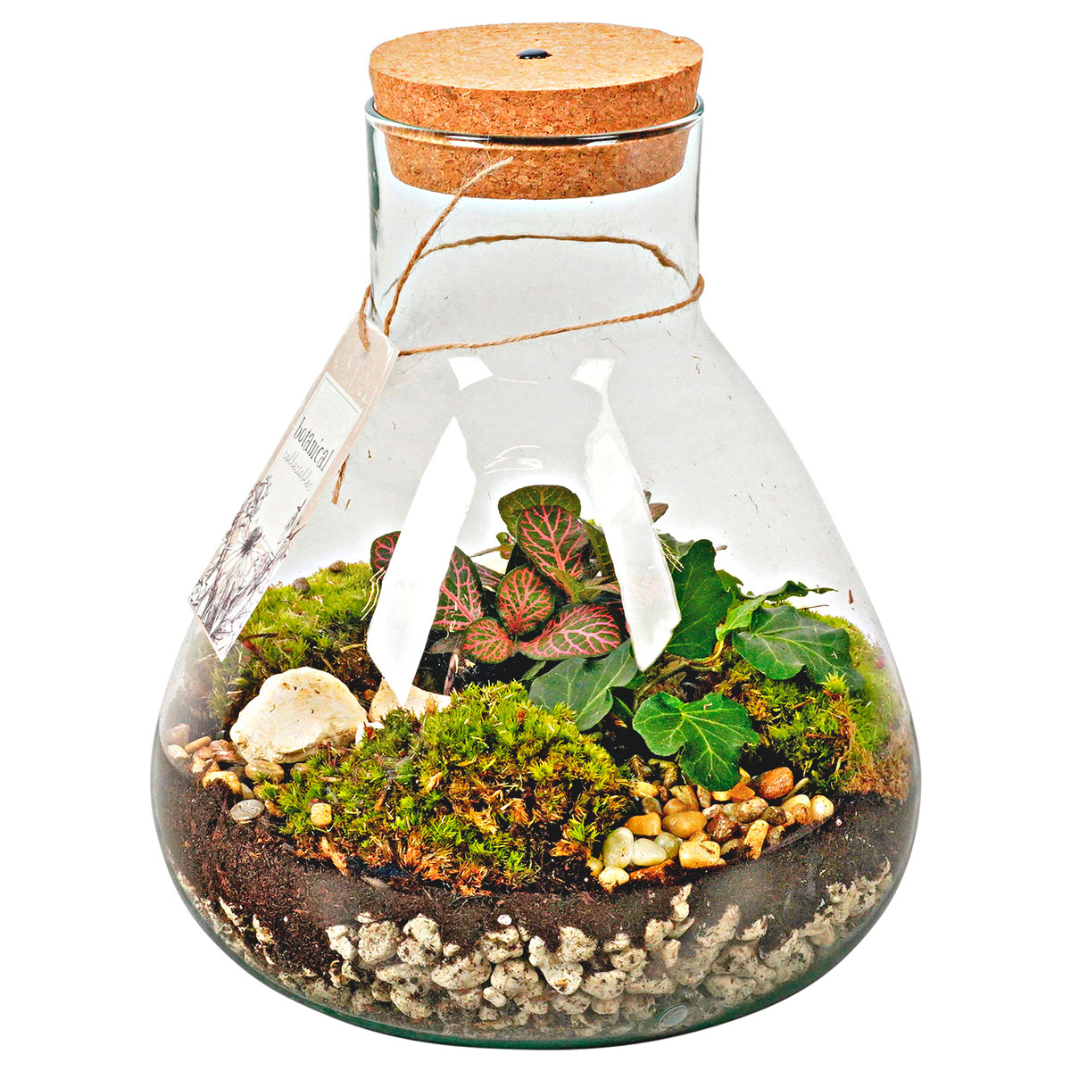 Plantiflor  Große Glasvase Bauchig ca 28 x 23 cm