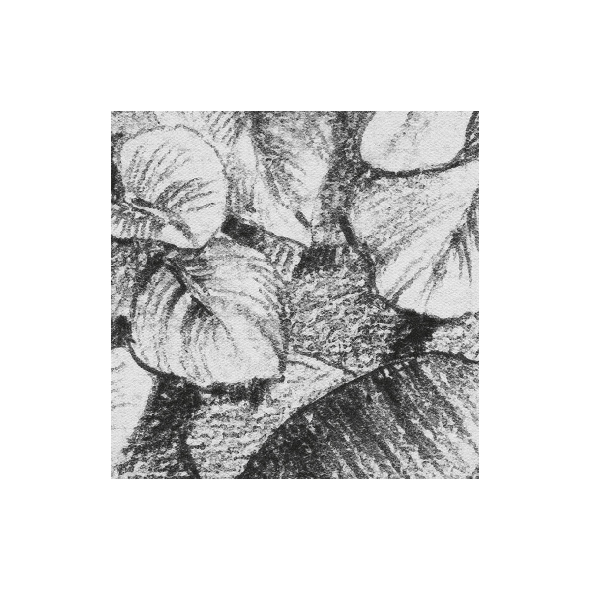 Komar  Vlies Fototapete Léopards 350x250 cm Bild 3