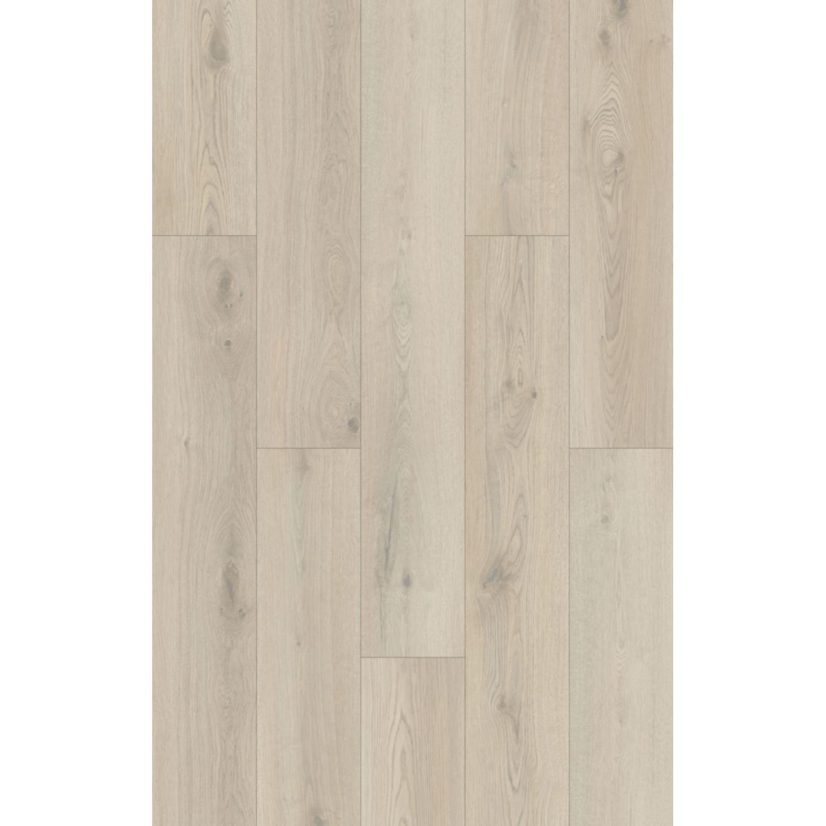 Basic SPC Rigid Designboden Eiche beige 1220x181x3,2