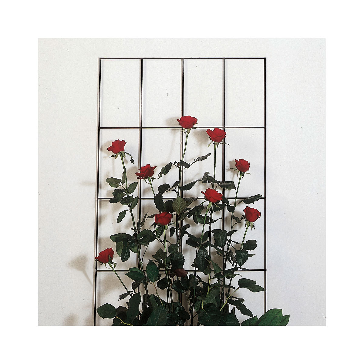 Windhager Gitterspalier 145 x 72 cm grün Bild 3