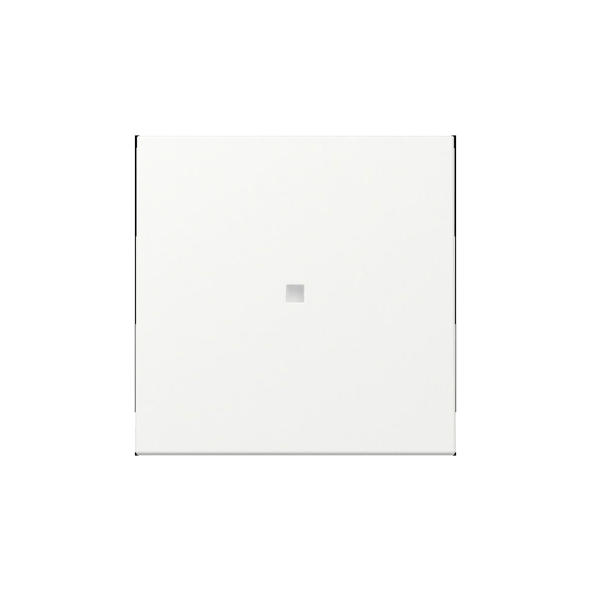 Gira  Wippe Kontrollf. System 55 Reinweiß m