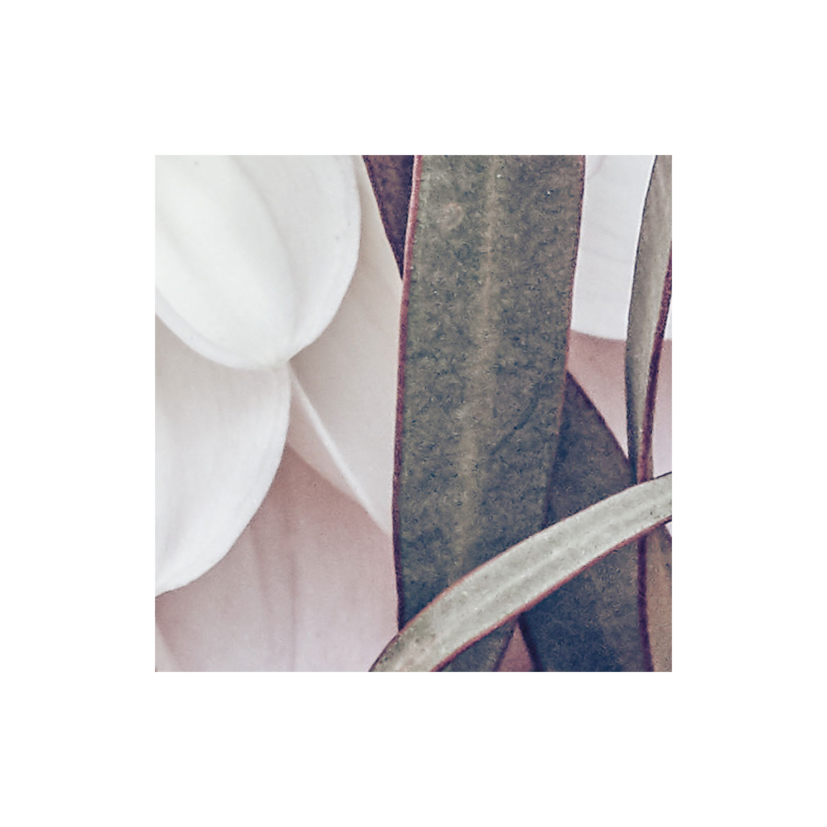 Komar  Vlies Fototapete Zestful 200x250 cm Bild 5