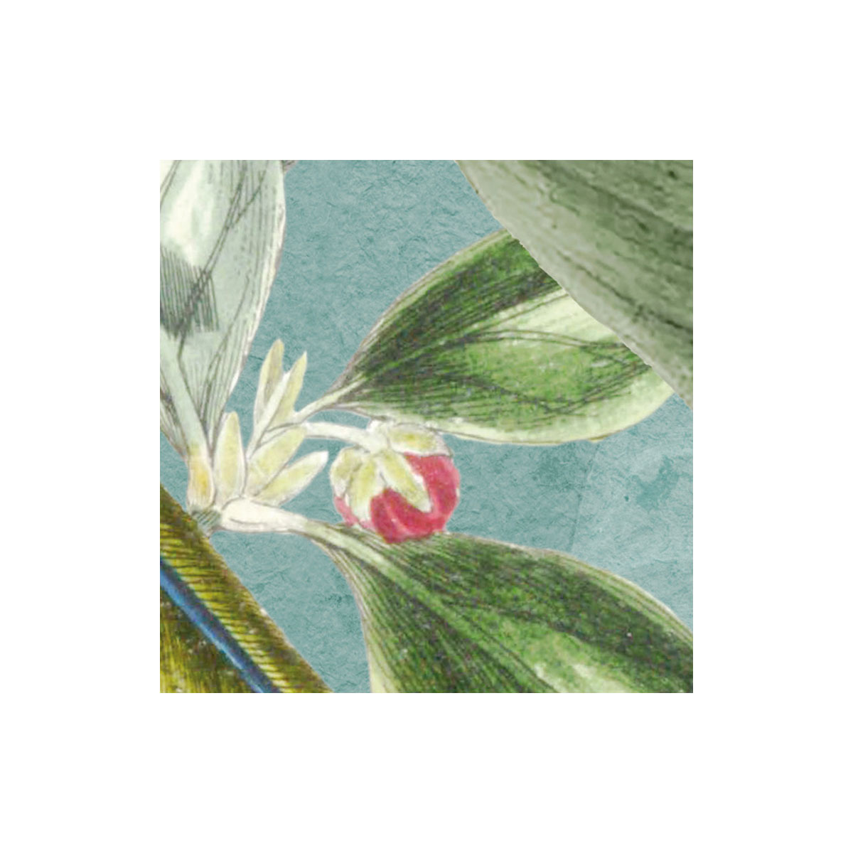 Komar  Vlies Fototapete Birds and Berries 200x250 cm Bild 6