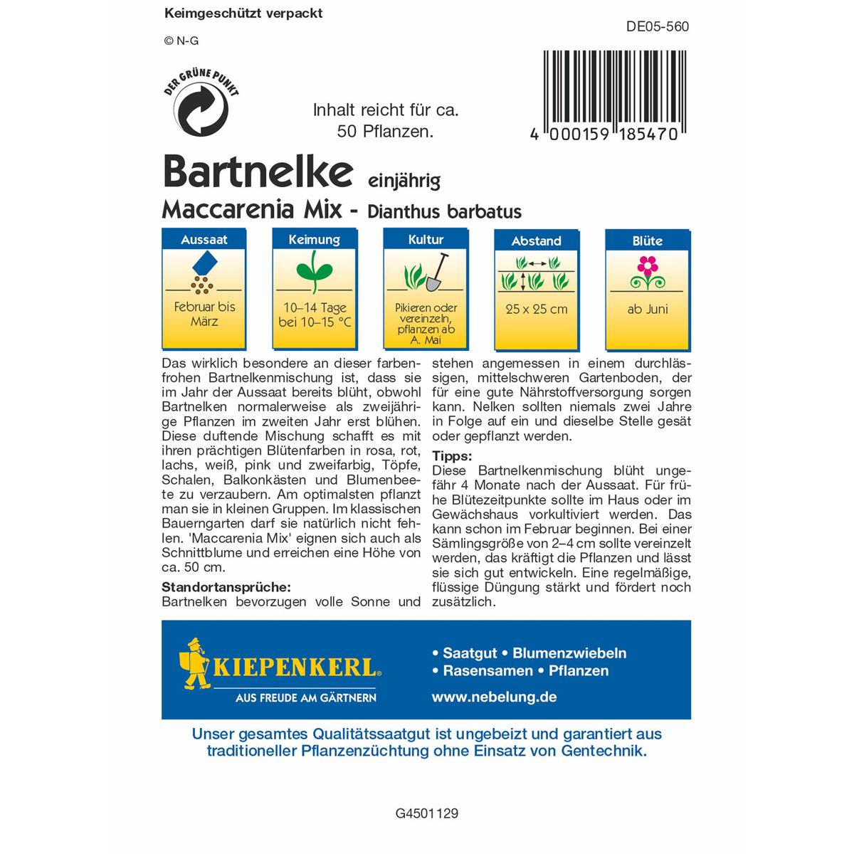 Kiepenkerl Bartnelke Maccarenia Mix Bild 2