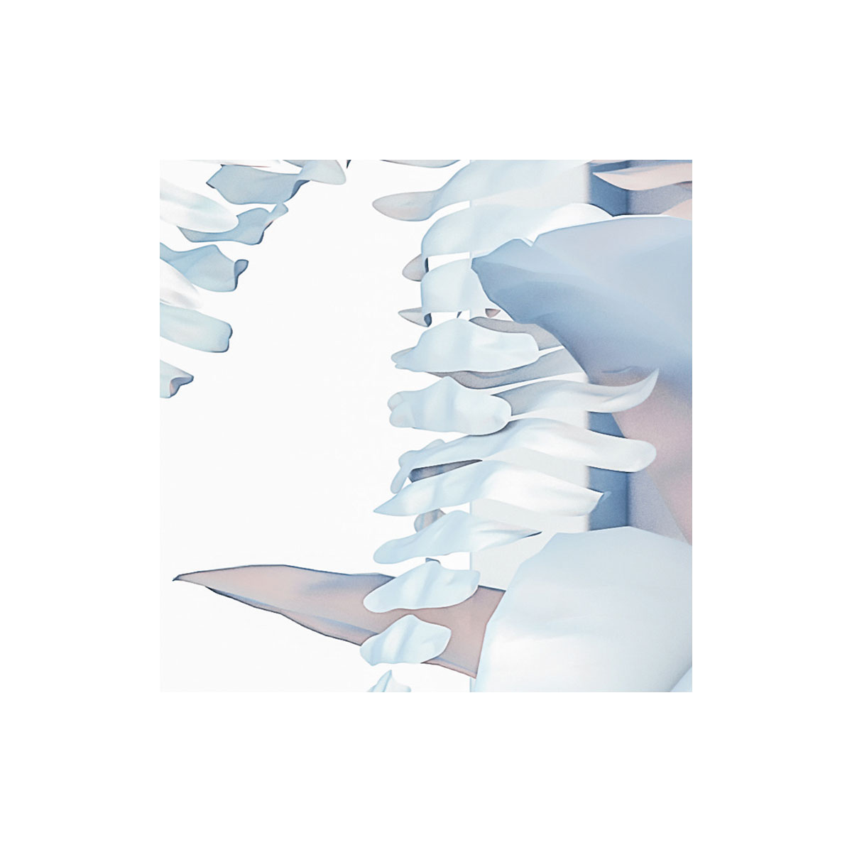 Komar  Vlies Fototapete Vertical Garden 400x250 cm Bild 5