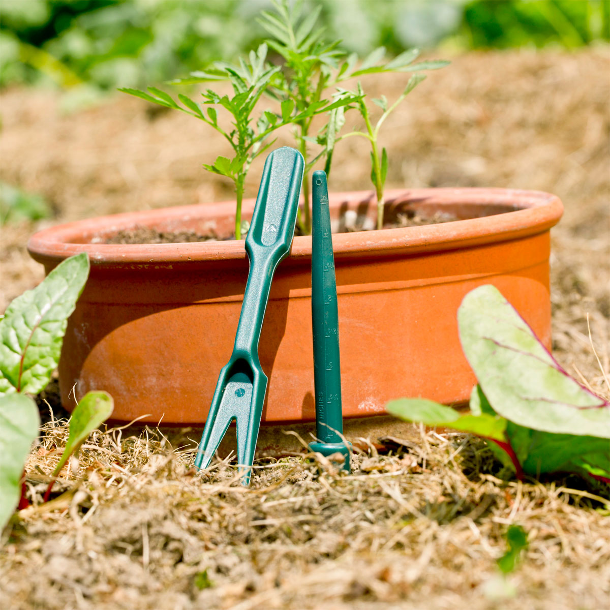 Windhager  Pikierset 2 Stück