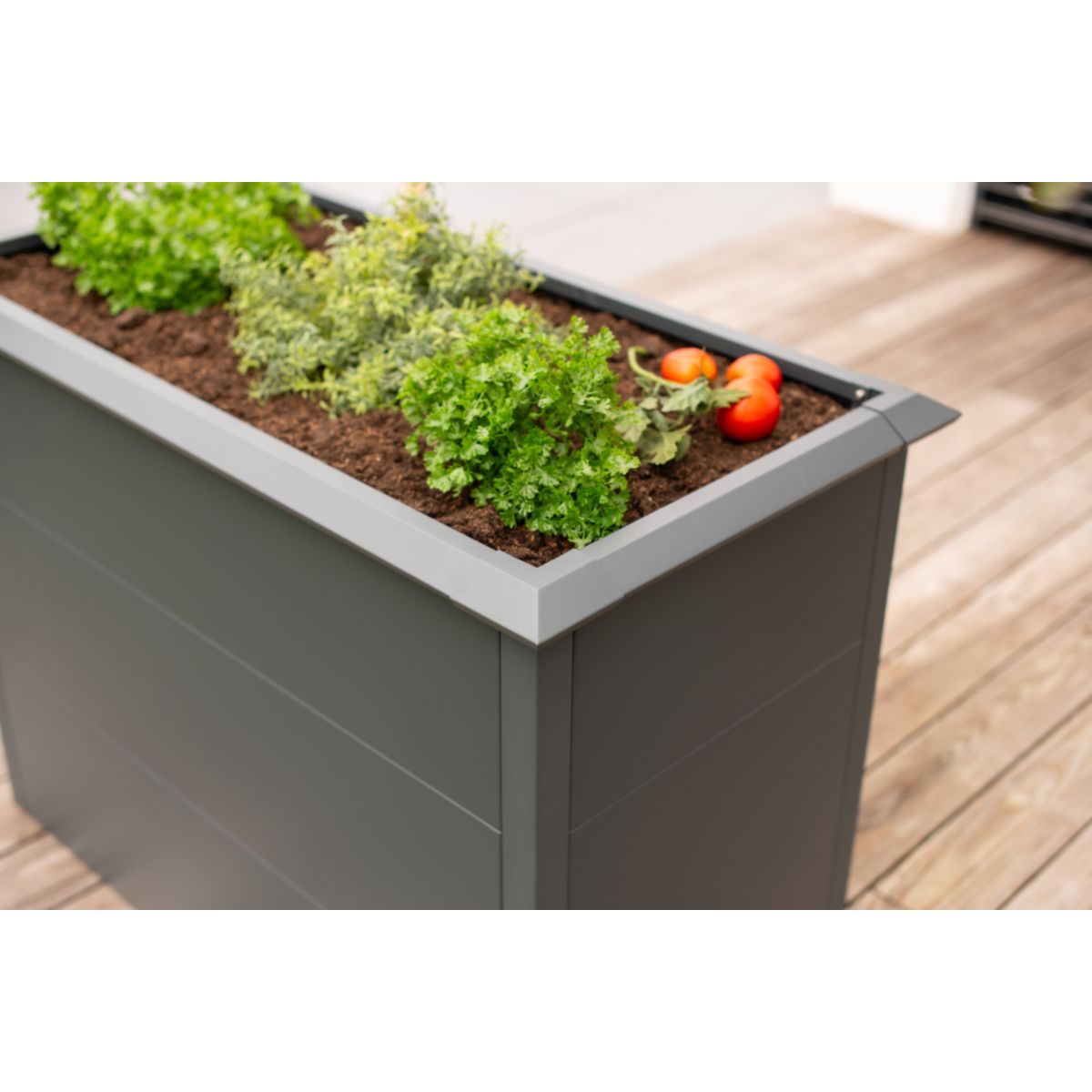 Westmann Hochbeet Primus M 50x100x77cm Bild 5