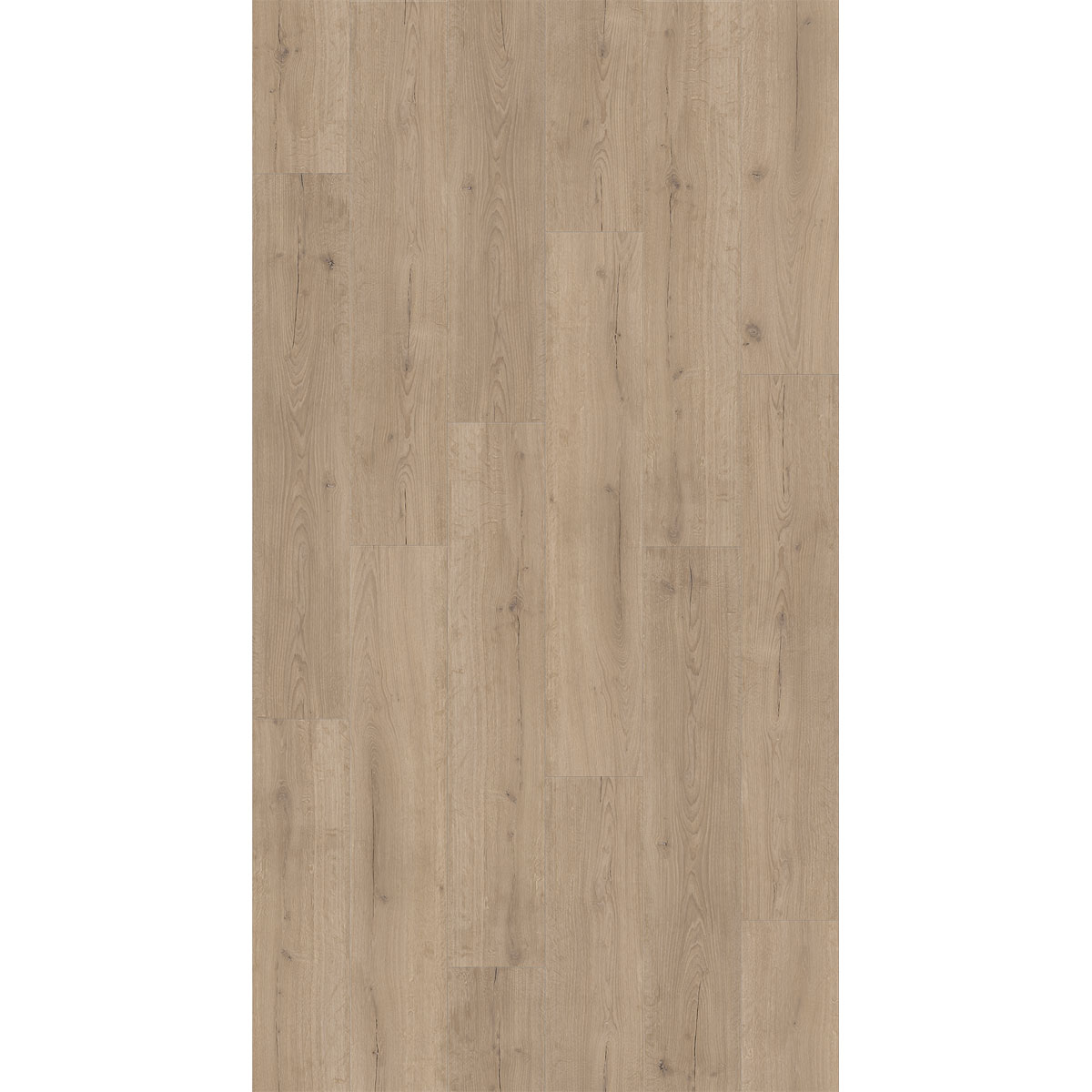 Parador Vinylboden „Basic 300147, Eiche Infinity grau, Lebhafte Struktur, 21,6x120,7 cm Bild 2