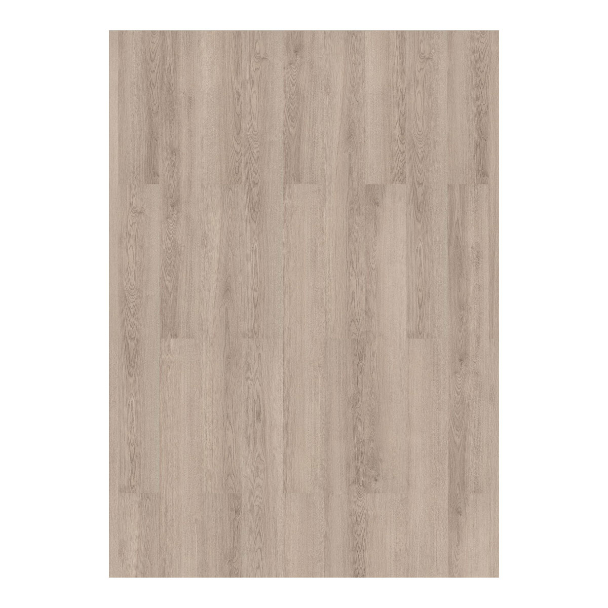 Laminat Solido 4V 731-4 Eiche natur grau 1286 x 194 x 7 mm Bild 2