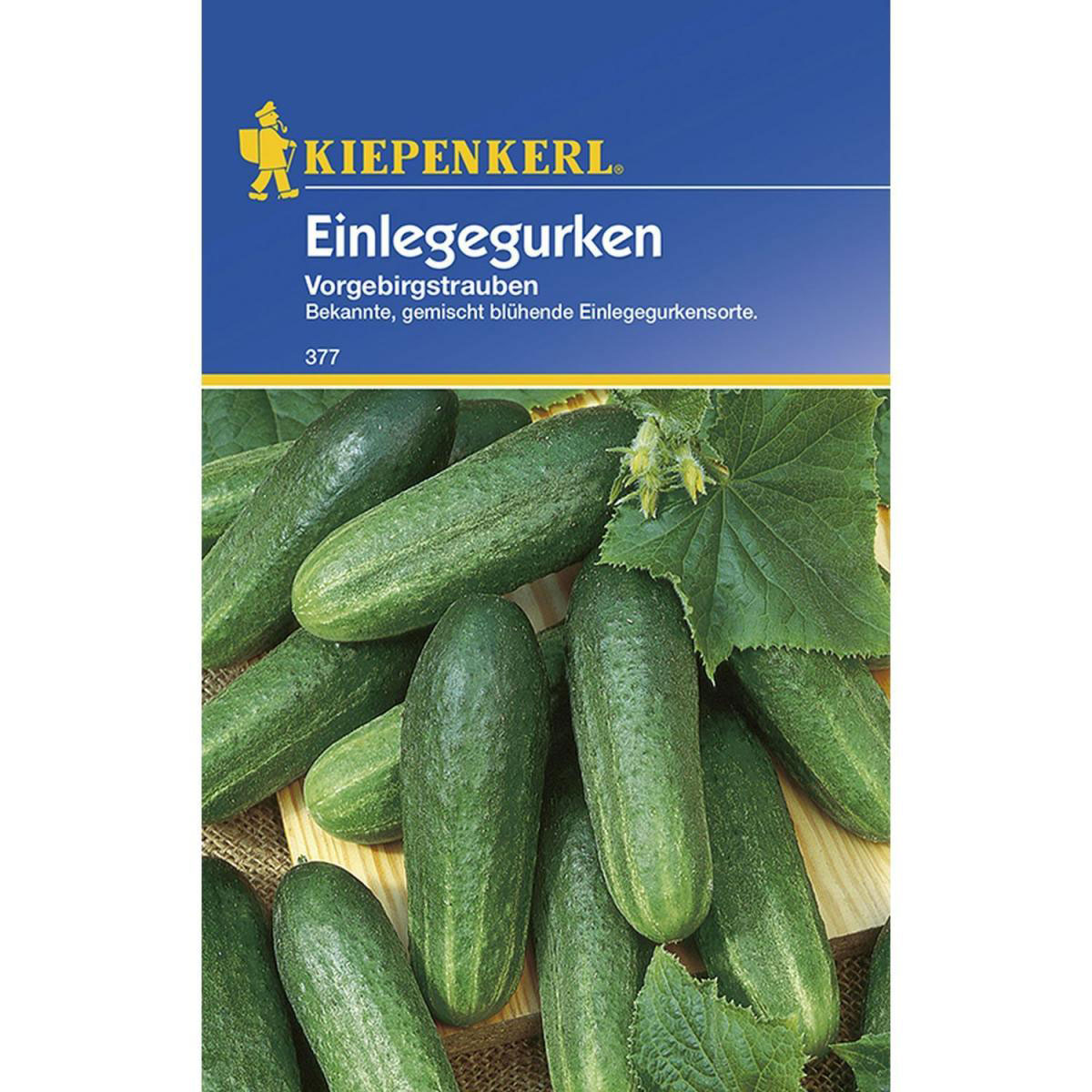 Kiepenkerl Einlegegurken Vorgebirgstrauben verschiedene Sorten