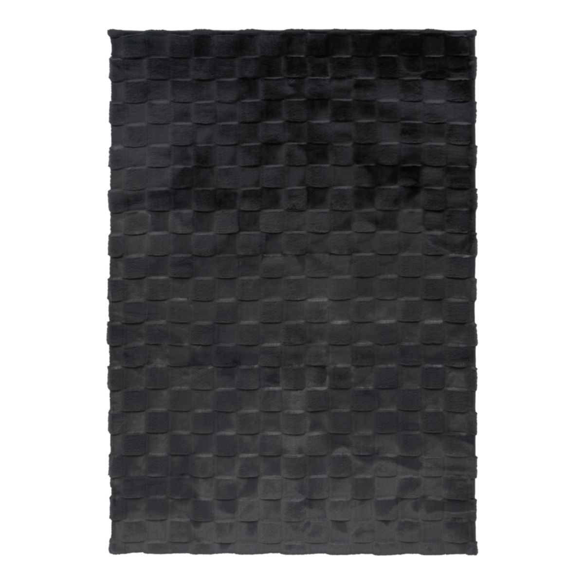 Botany 625 Graphit 160 x 230 cm