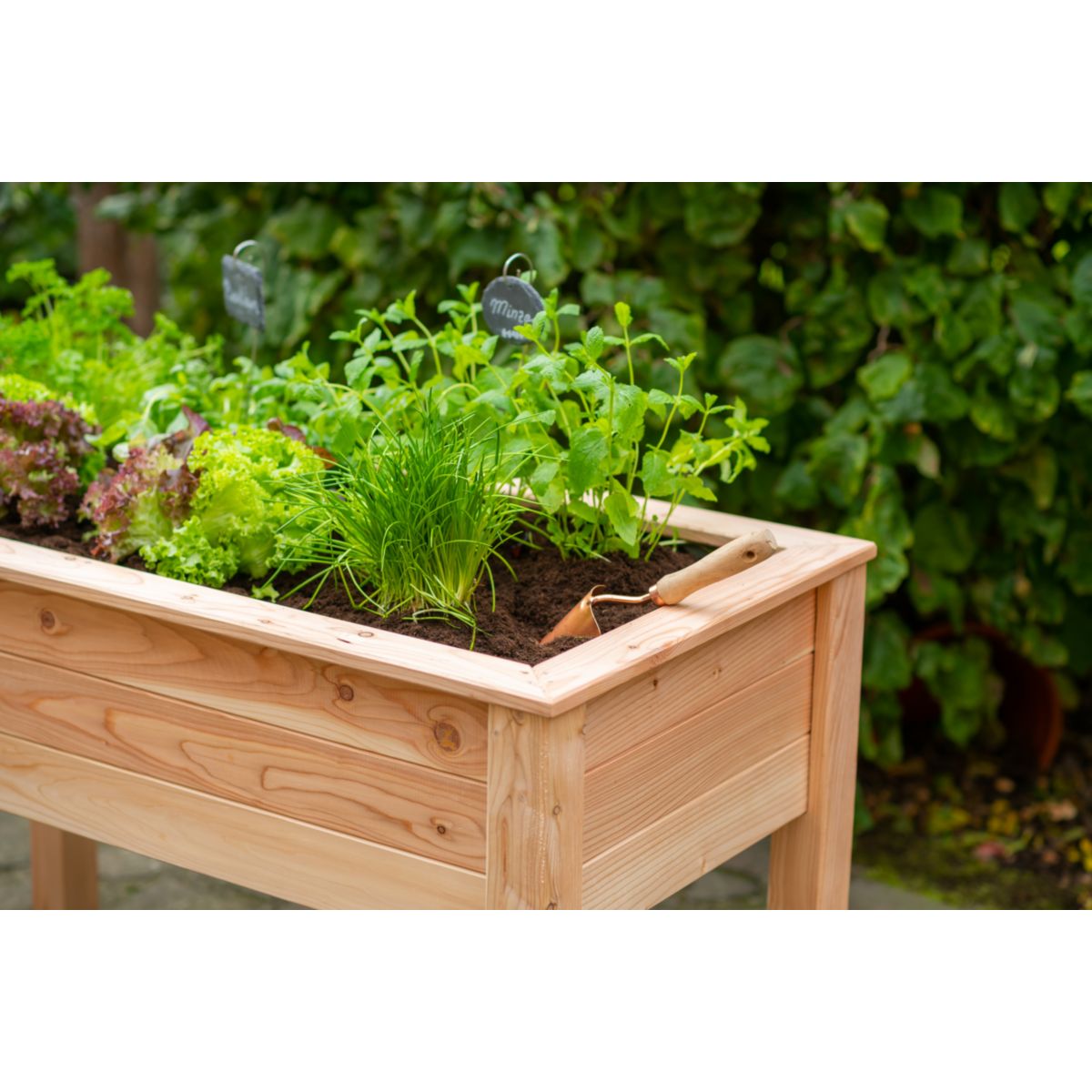 Westmann Hochbeet Emily 65x120x75cm Bild 6