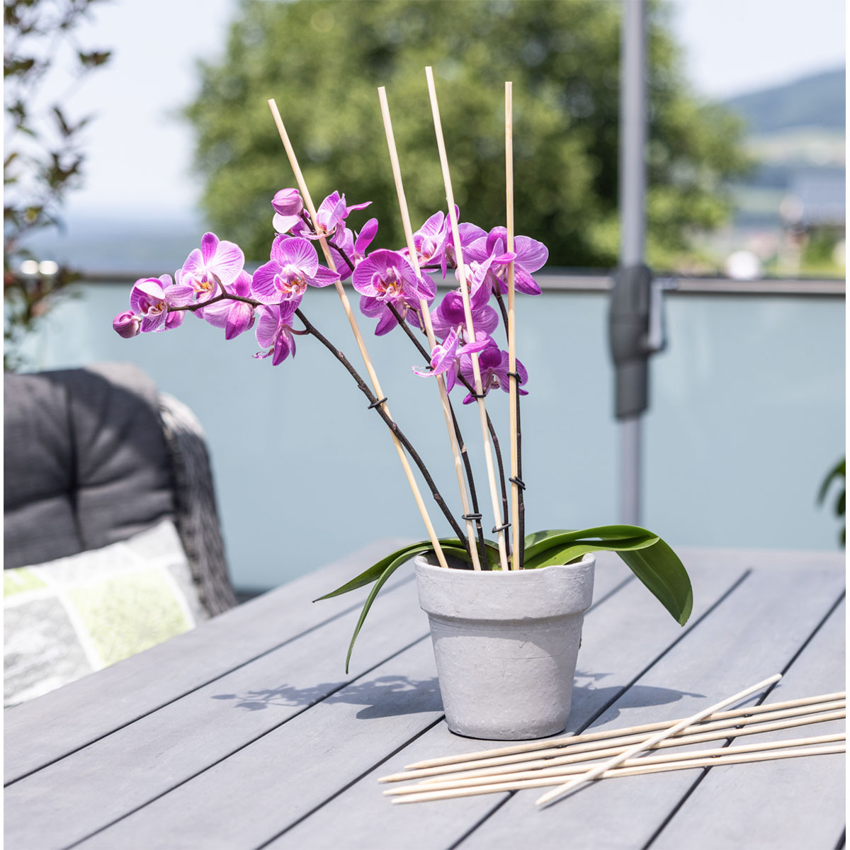 Windhager  Splittstäbe 50 cm natur