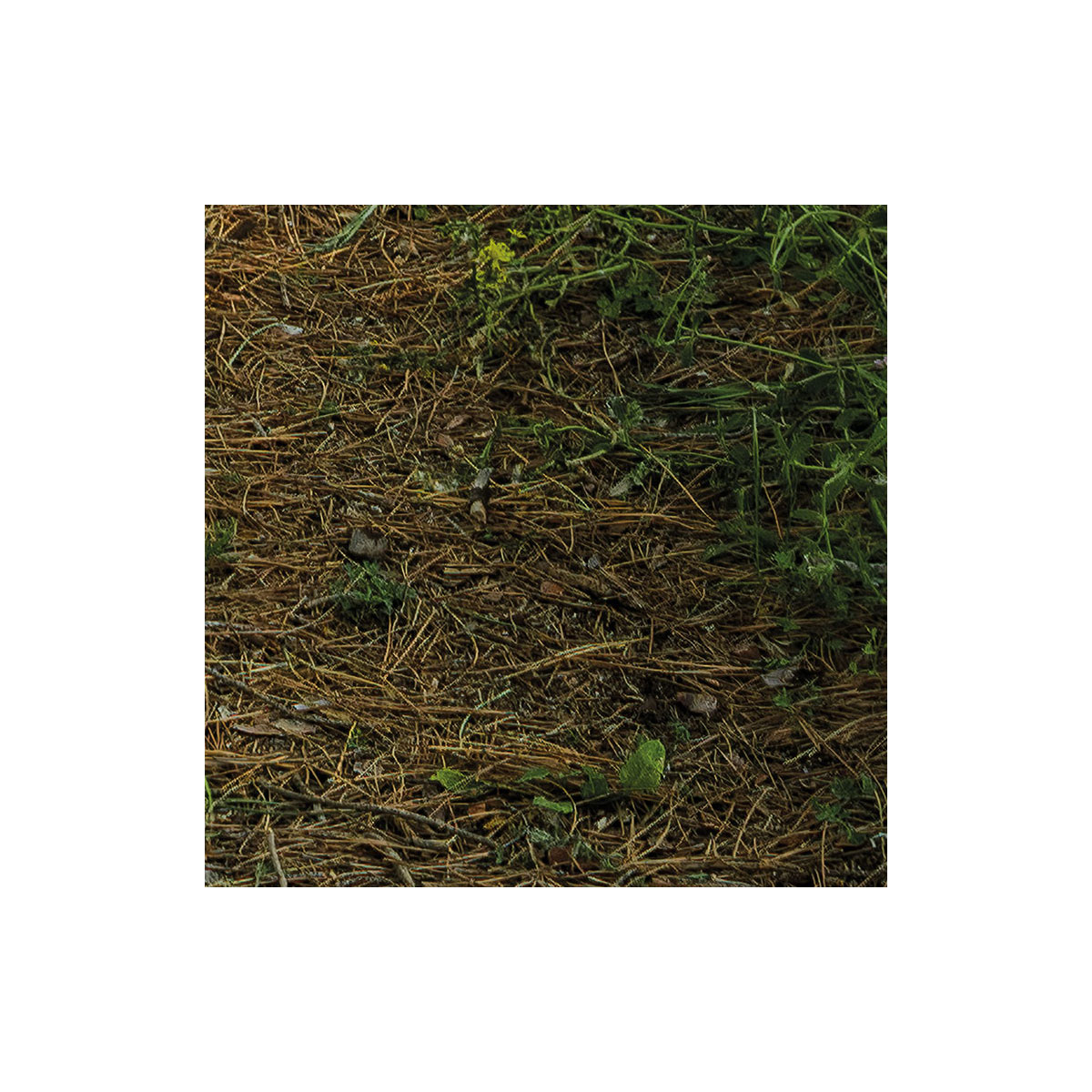 Komar  Vlies Fototapete Blütenzauberwald 450x280 cm Bild 6