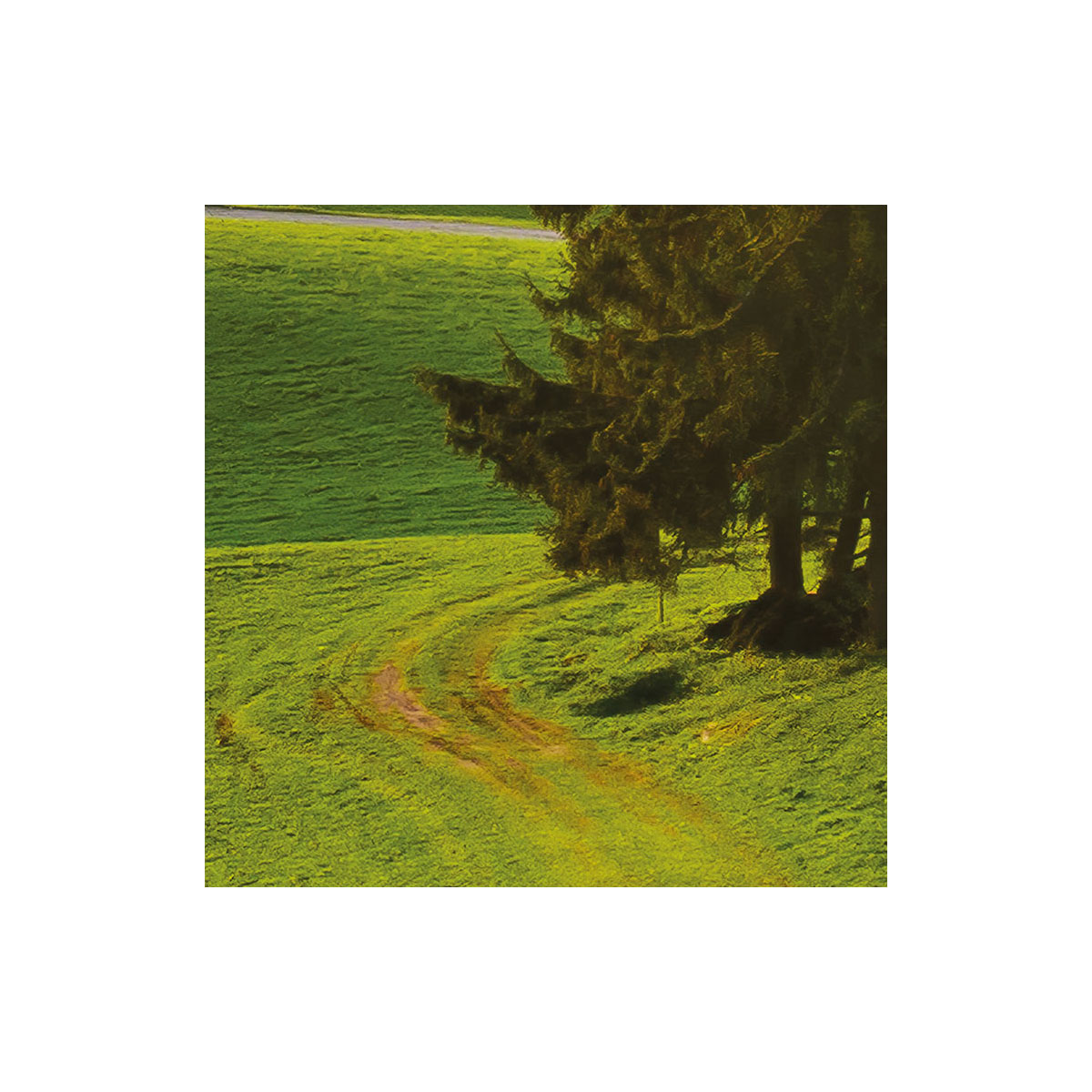 Komar  Vlies Fototapete Paradiesisches Bayern 450x280 cm Bild 5