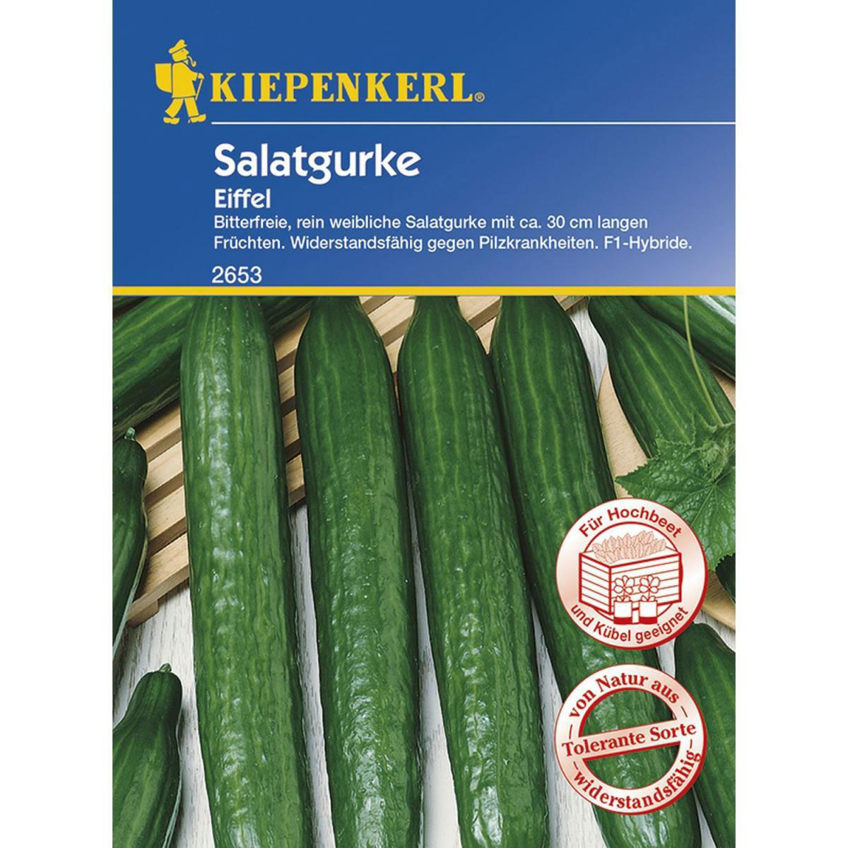 Kiepenkerl Salatgurke Eiffel F1 Bild 1