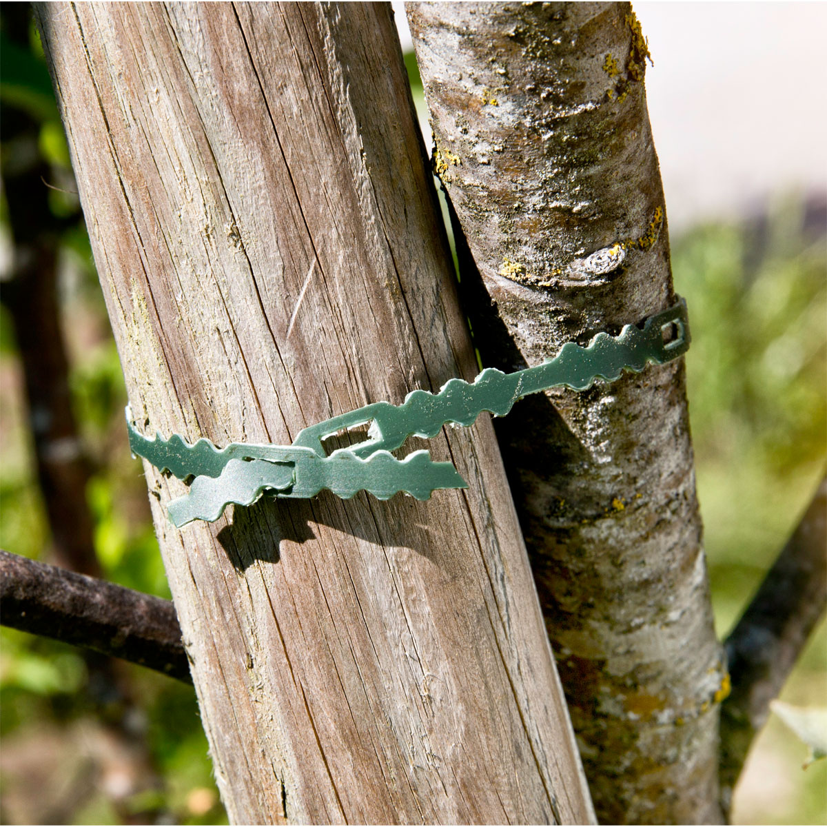 Windhager Endlos-Universalbinder 25 m Bild 2