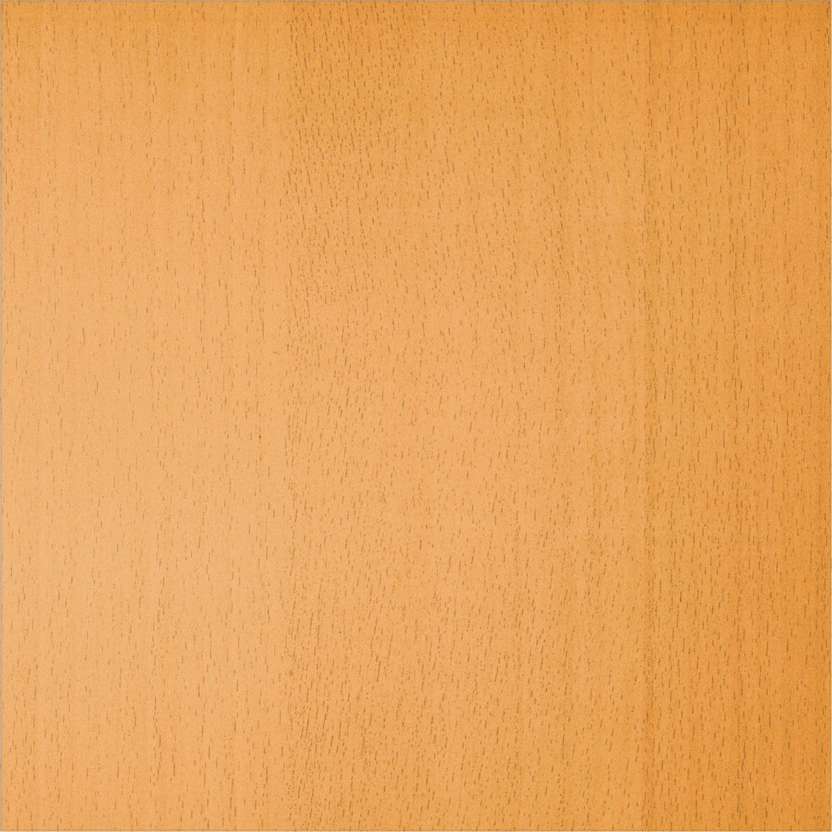 MyTool Glattblech 25 x 50 mm buche