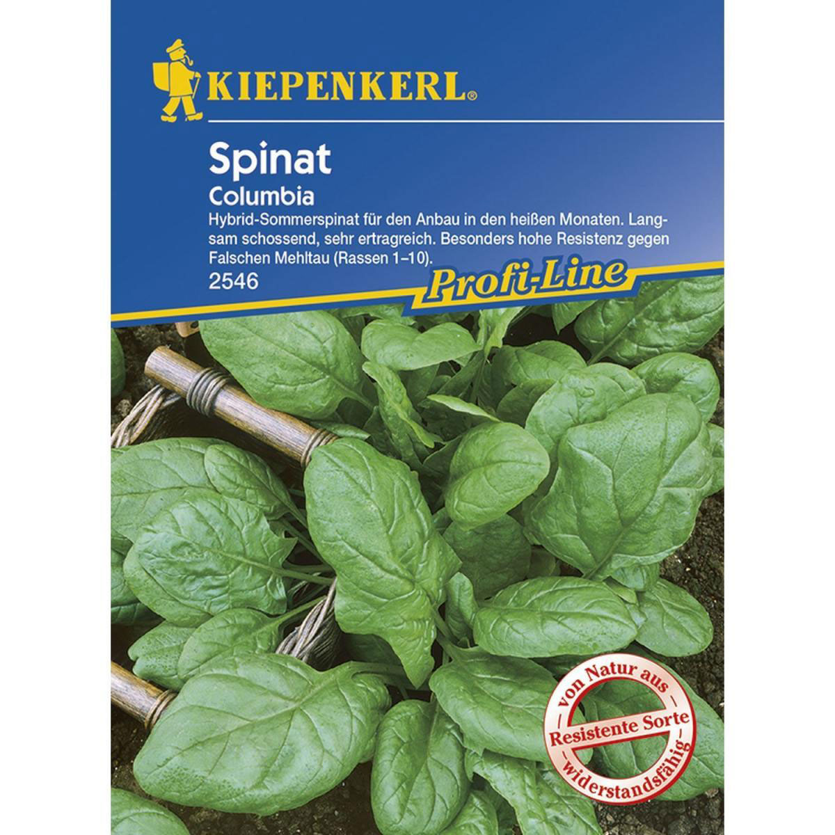 Kiepenkerl Spinat Columbia F1 Profi-Line