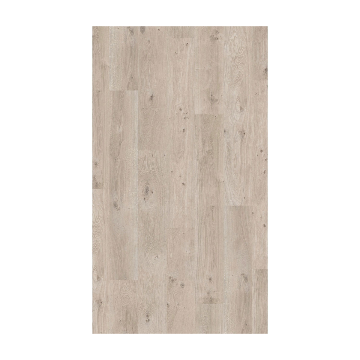 Parador Sonder Laminat Basic 200 Eiche Natur grau 1285 x 194 x 7 mm