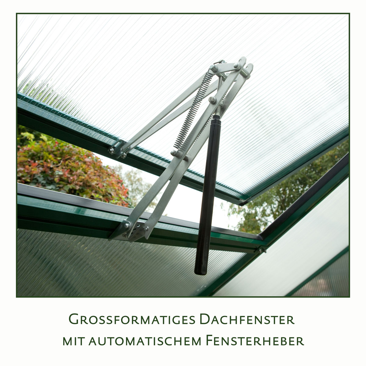 KGT Gewächshaus Lilie IV 12,75m² schwarz Bild 5