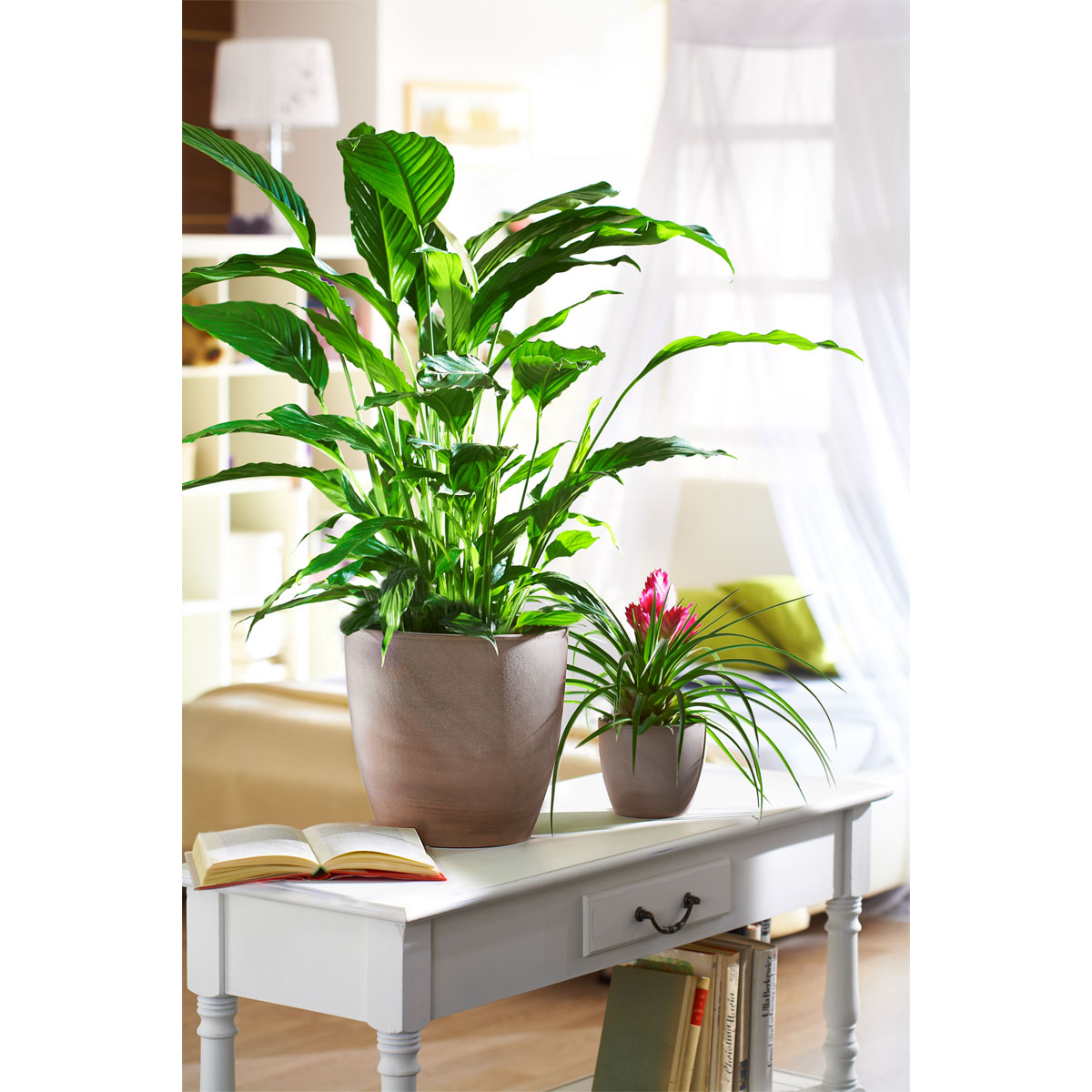 Scheurich Übertopf Earth 920 28 cm Bild 2