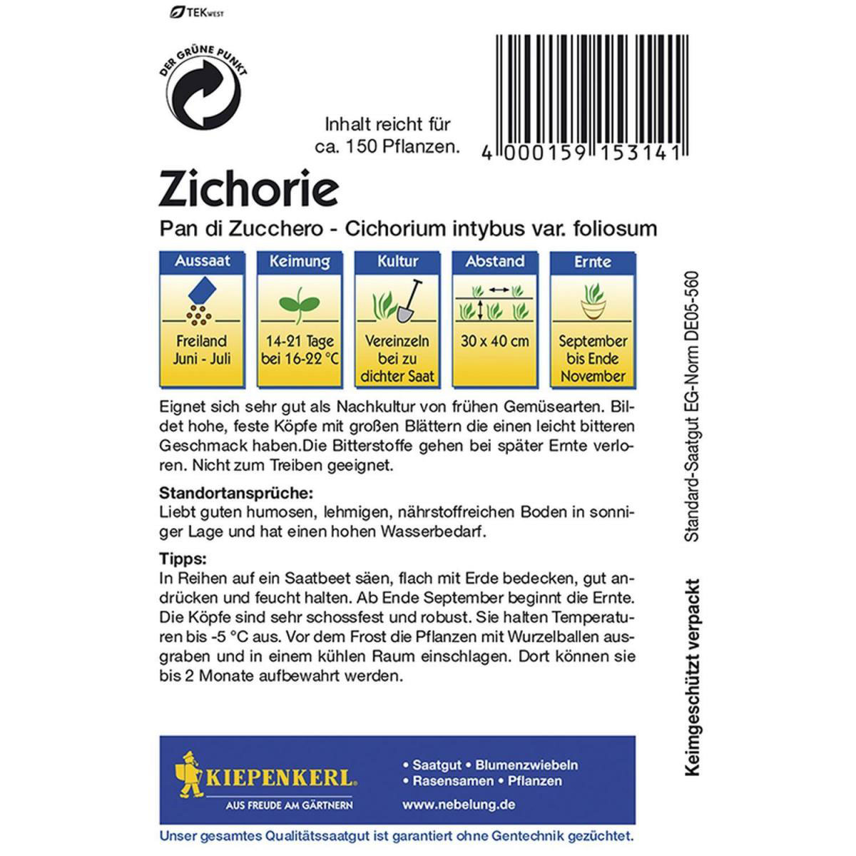 Kiepenkerl Zichoriensalat Pan di Zucchero Bild 2