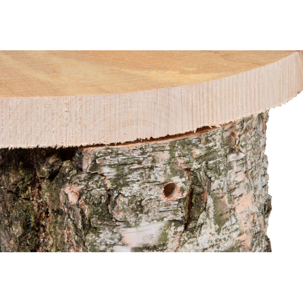 Nistkasten 14 x 22 x 24 cm Birkenaturbelassen Bild 3