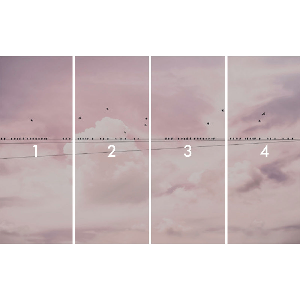 Komar  Vlies Fototapete Cloud Wire 400x250 cm Bild 3