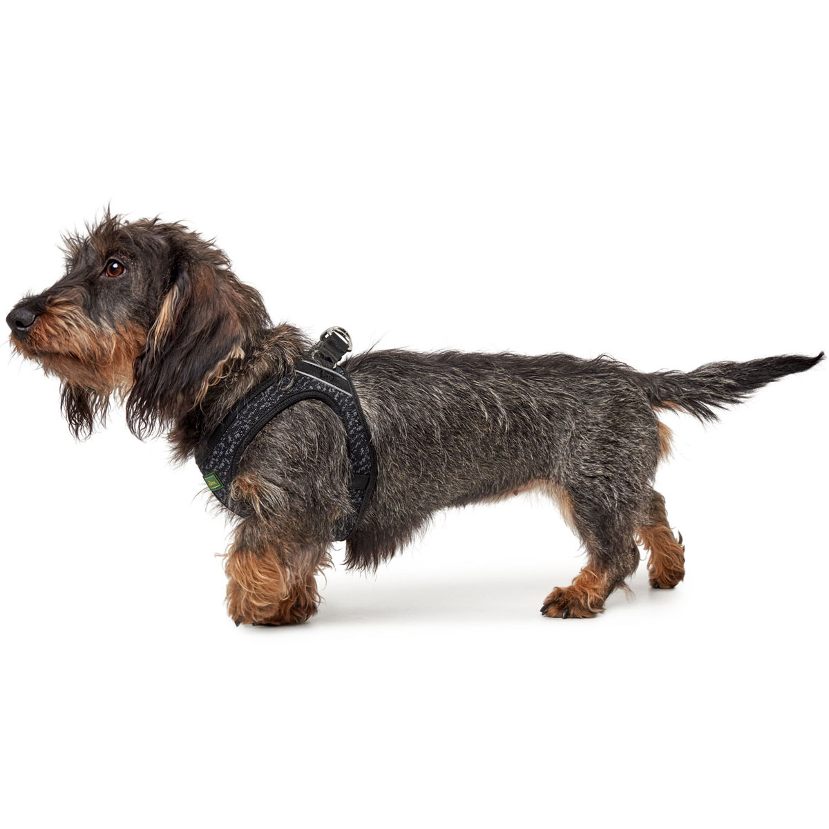 Hunter  Geschirr Hilo Soft Comfort grau L Bild 6