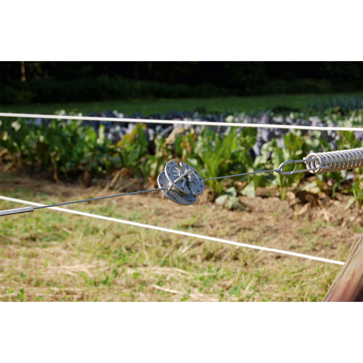 Drahtspanner rotierend Bild 3