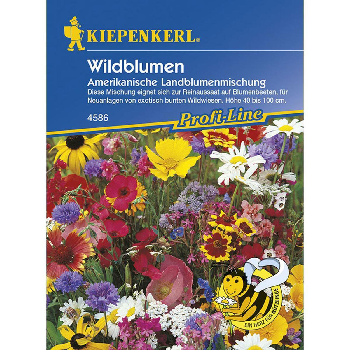 Kiepenkerl Wildblumen amerikanische Landblumenmischung Profi-Line Bild 1