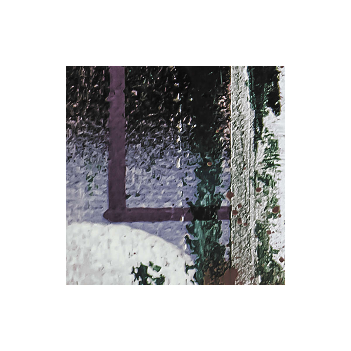 Komar  Vlies Fototapete Fringe Upswept 500x280 cm Bild 7