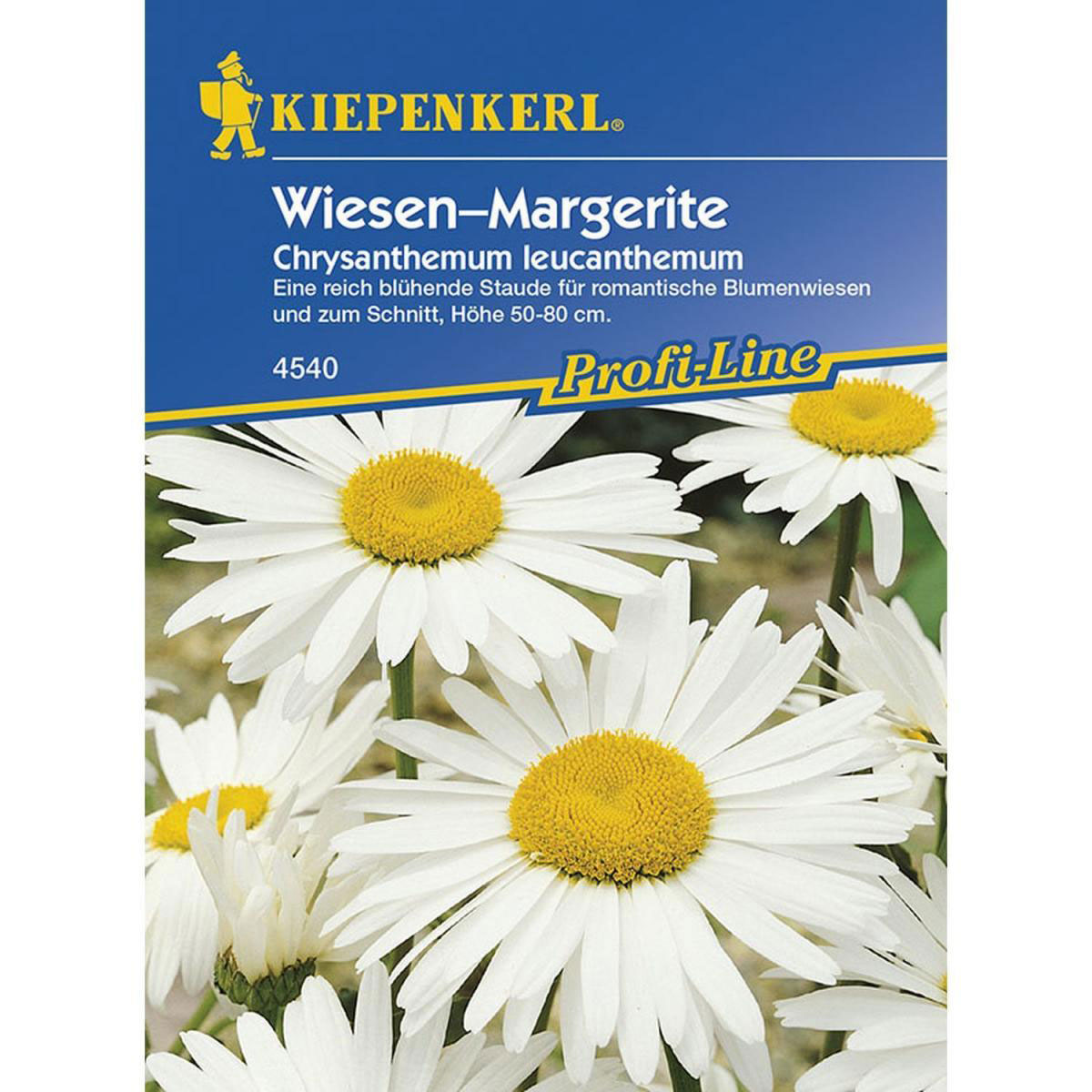 Kiepenkerl Wiesen-Margerite Profi-Line Bild 1