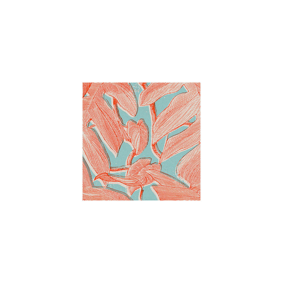 Komar  Vlies Fototapete Coralla 300x280 cm Bild 3