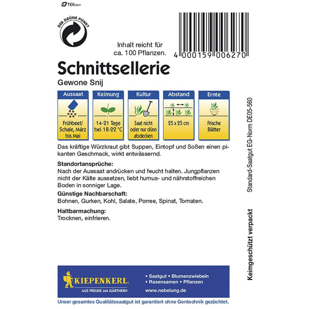 Kiepenkerl Sellerie Schnittsellerie Gewone Snij einjährig Bild 2