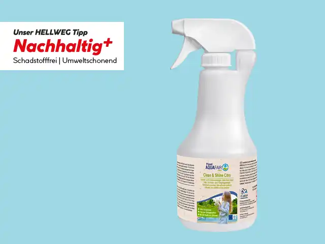 AQUAFAIR Clean & Shine Citro Pooldesinfektion.