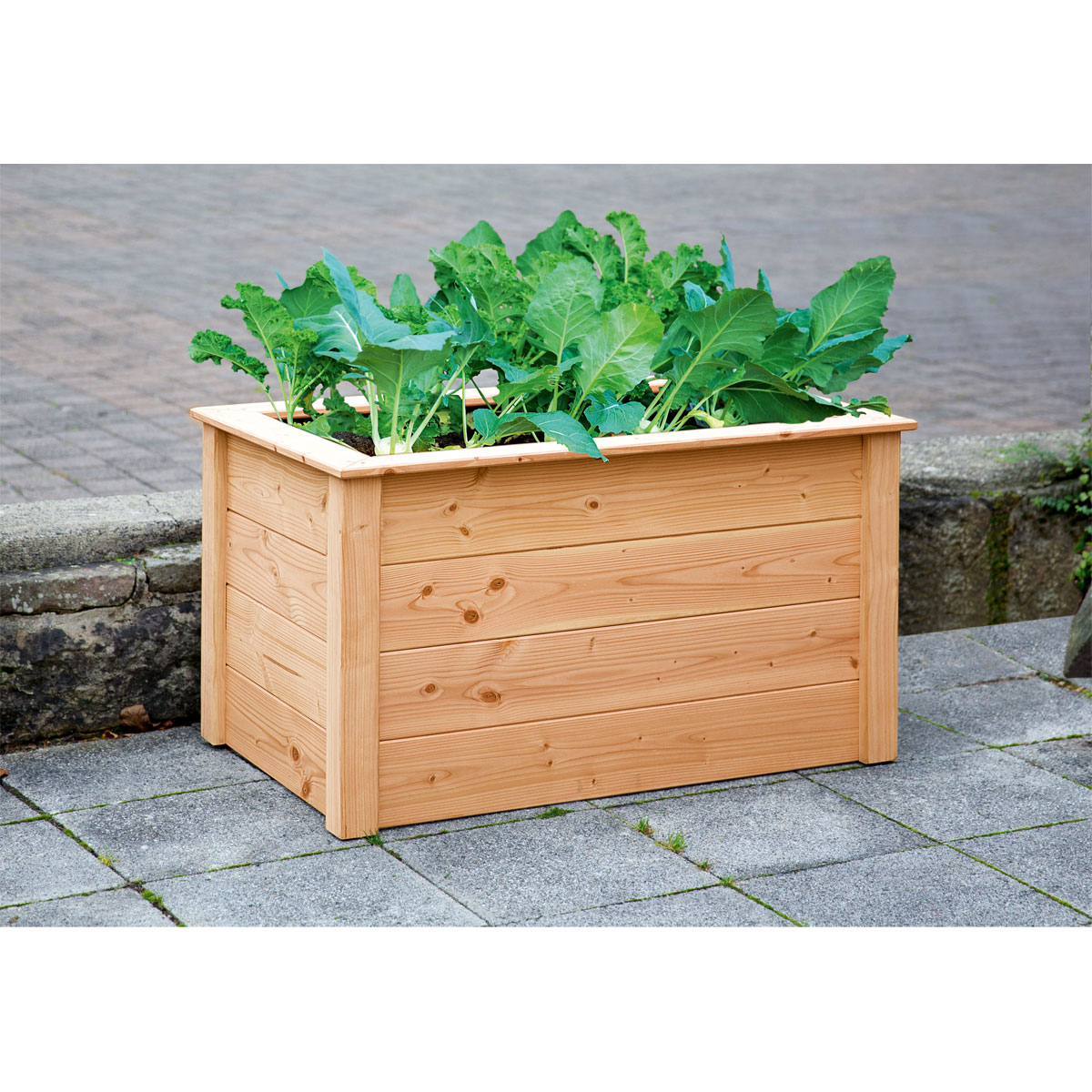 Hochbeet Douglasie unbehandelt 106 x 65 x 60 cm Bild 2