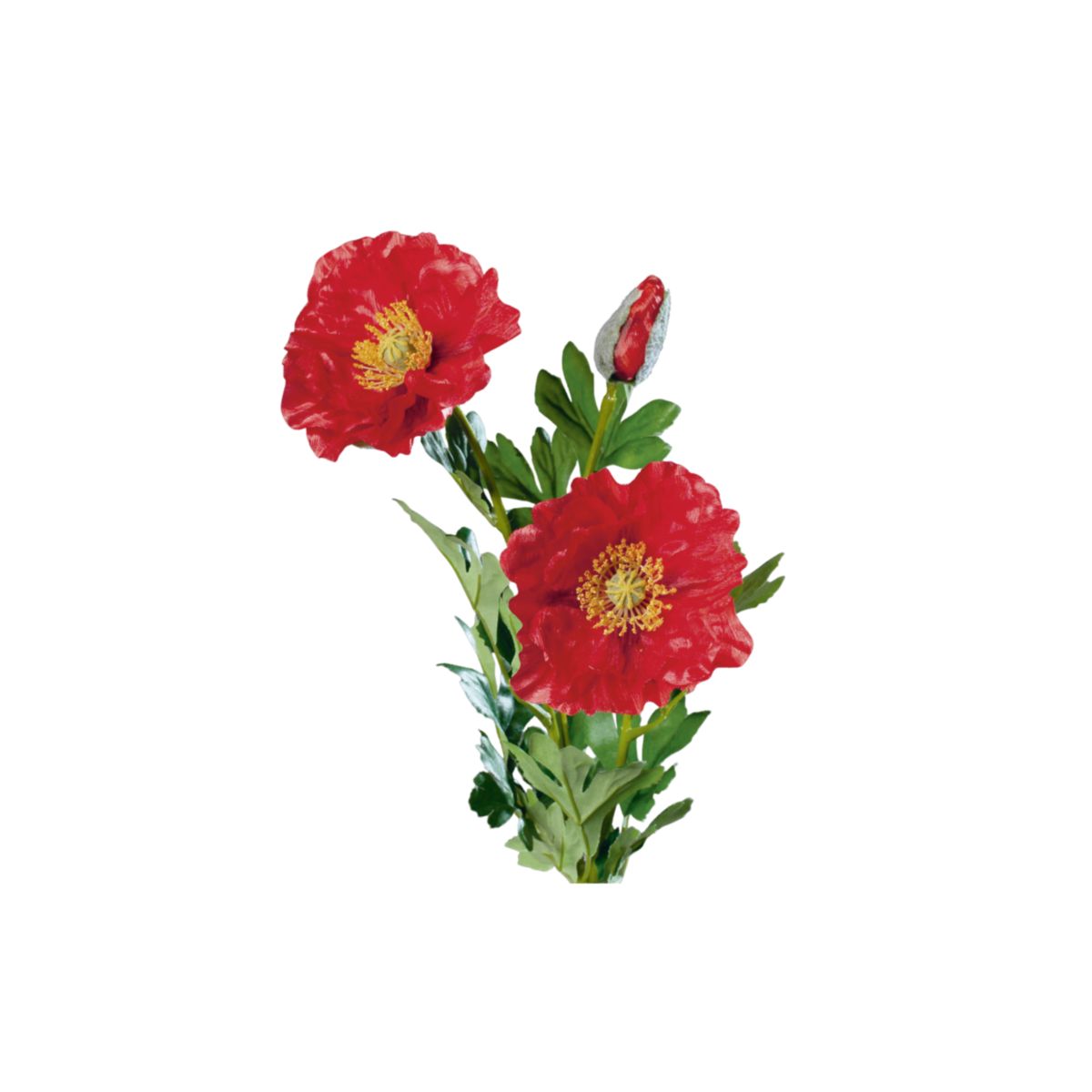 Mohn mit 3 Blüten 72 cm rot