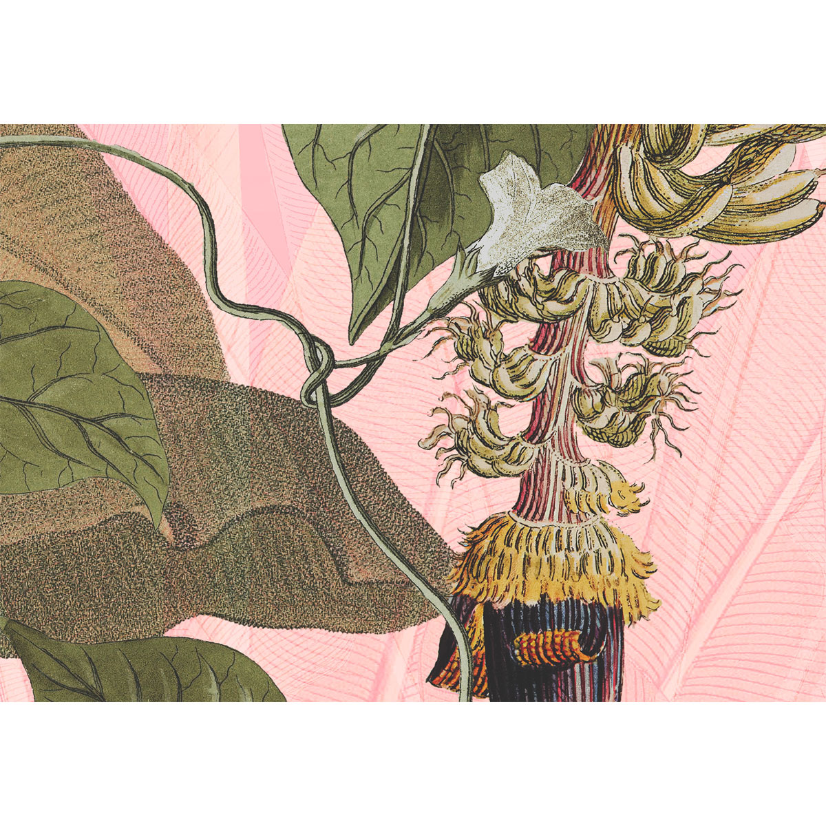 Komar  Vlies Fototapete Plantation 350x270 cm Bild 3