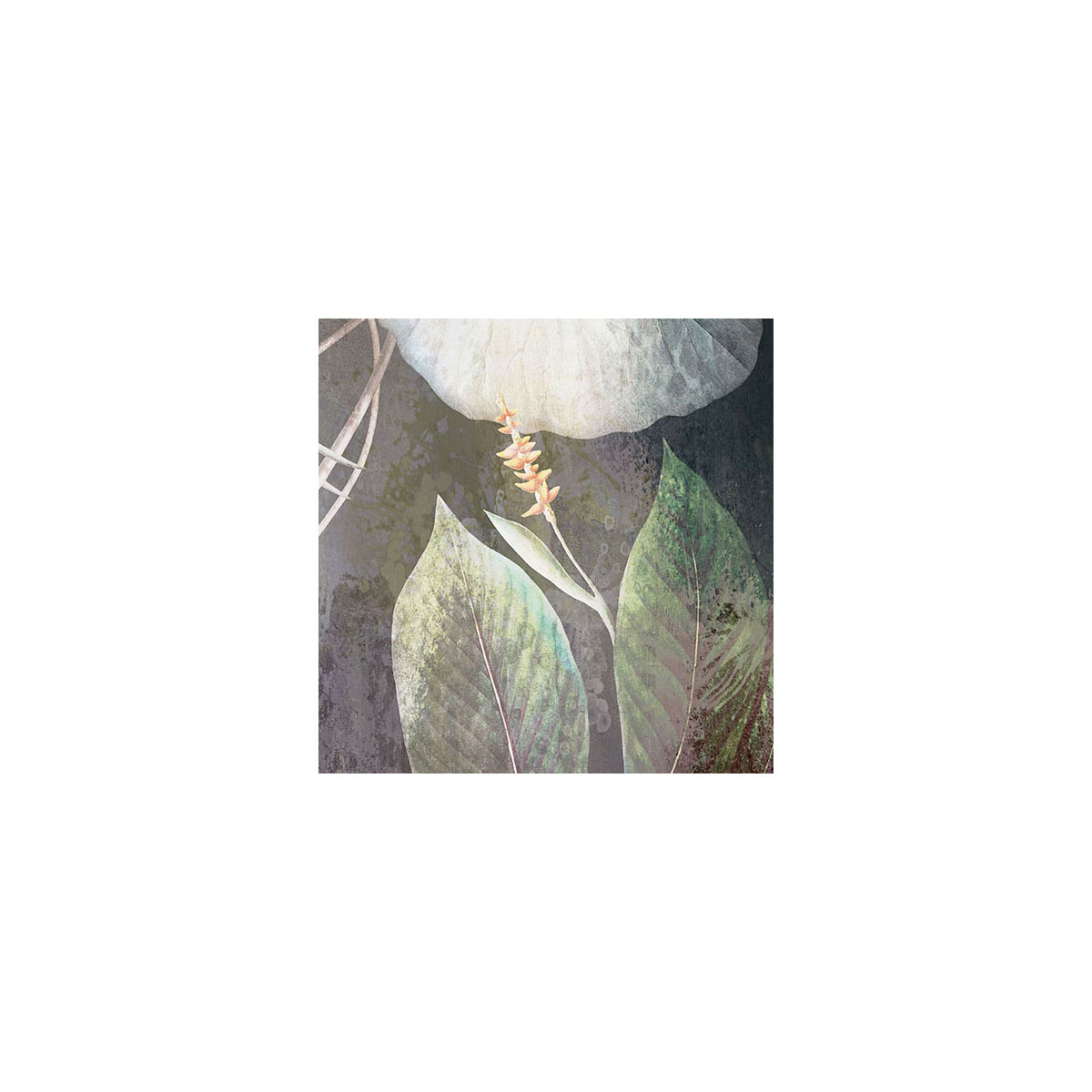 Komar  Vlies Fototapete Night Flowers 200x280 cm Bild 5