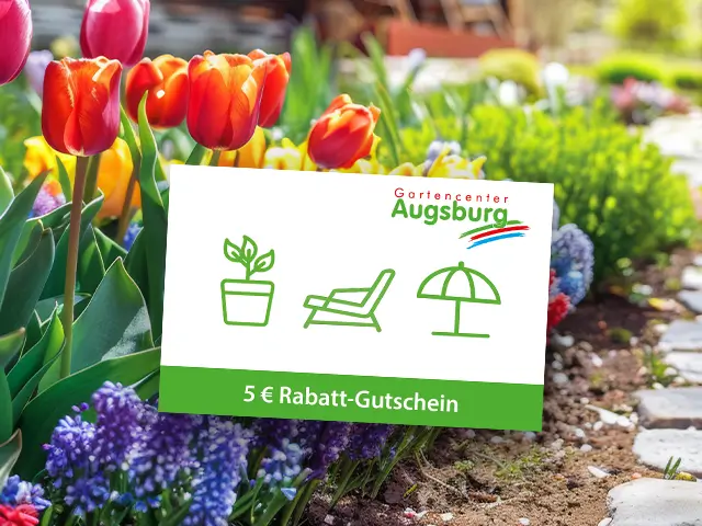 Beet mit Frühlingsblumen und Rabattkarte