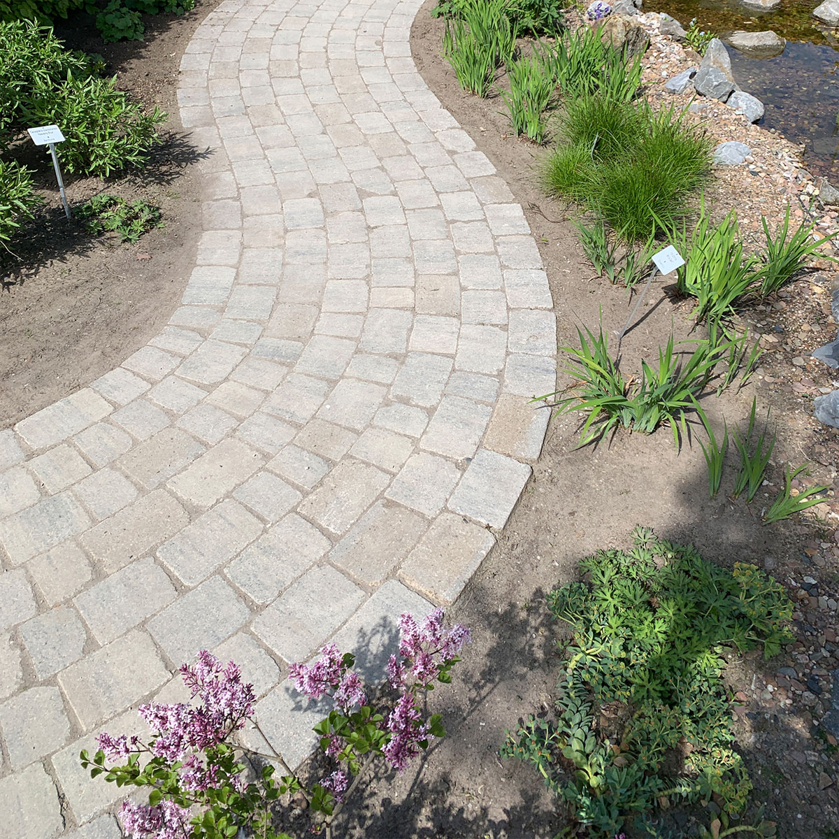 Diephaus  Pflaster Antik Muschelkalk 21 x 14 x 7 cm 1,05 m2 pro Lage Bild 4