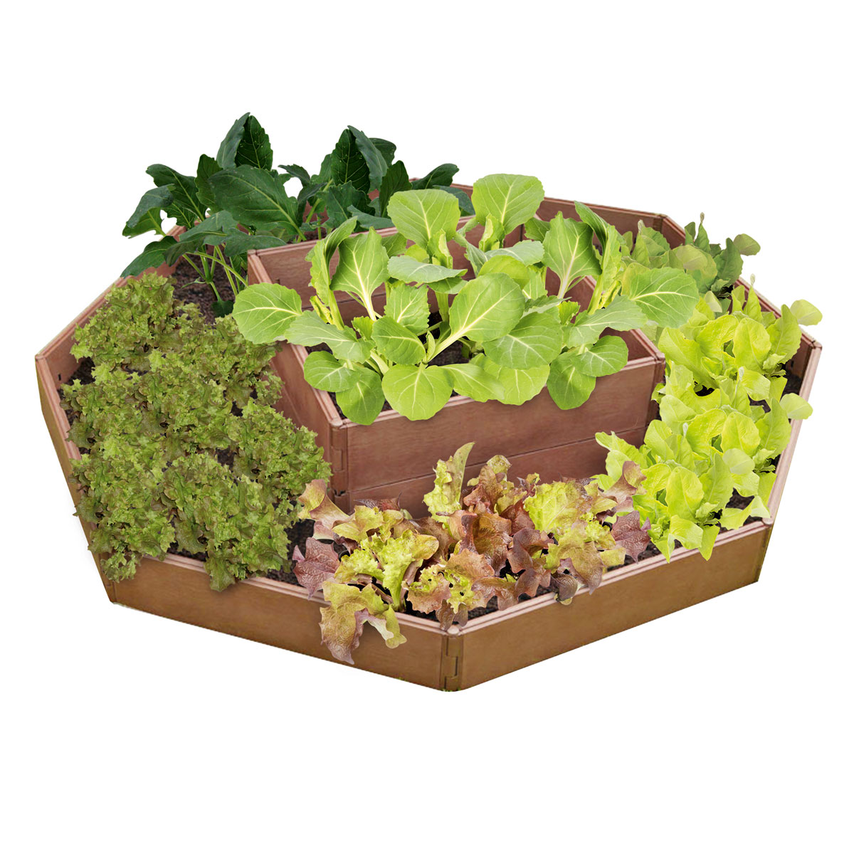 Wingart Variables Hochbeet 8 Paneele Holzstruktur braun Bild 7