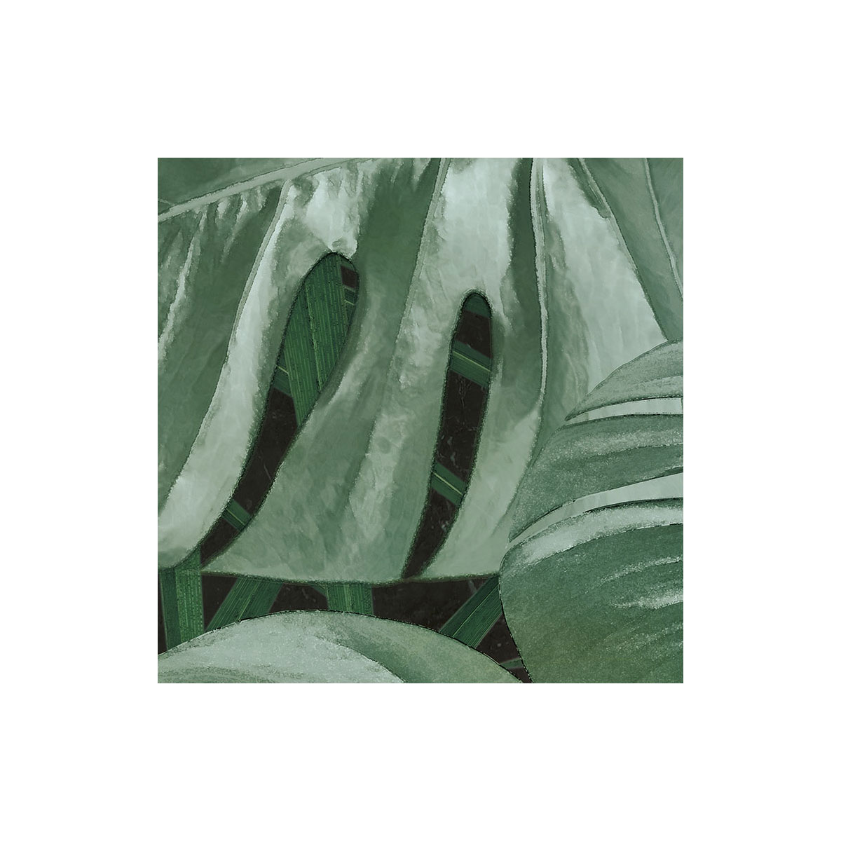 Komar  Selbstklebende Vlies Fototapete rund Novel Monstera Durchmesser 125 cm Bild 3