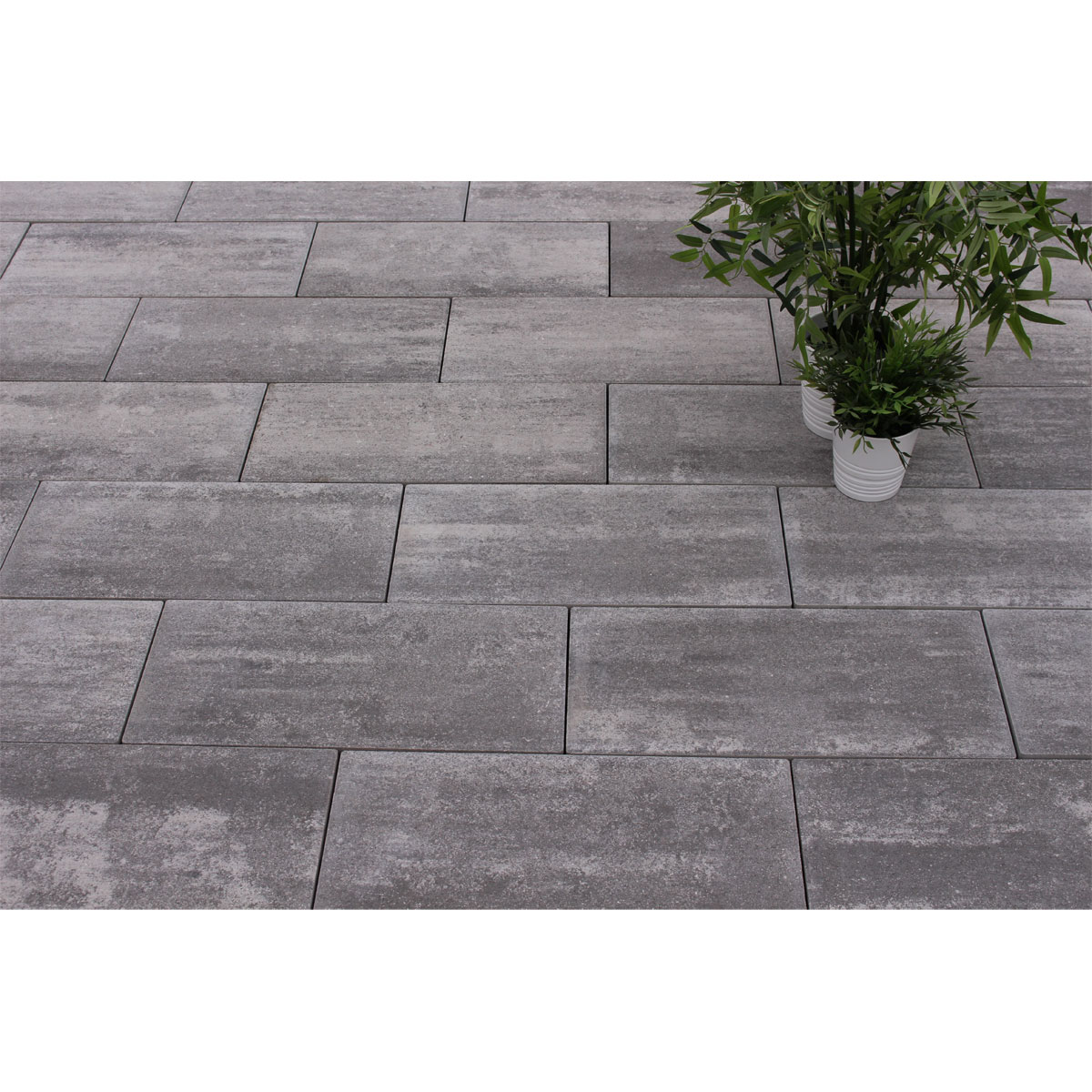 Platte Toscana anthrazit-schattiert 50 x 25 x 4 Bild 2