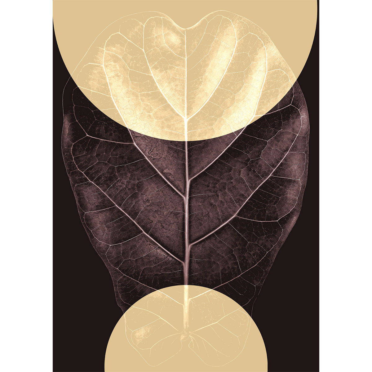 Komar  Wandbild Shadow Theatre 50x70 cm Bild 2