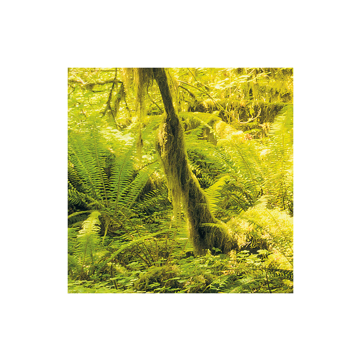 Komar  Vlies Fototapete Ancient World 400x250 cm Bild 8