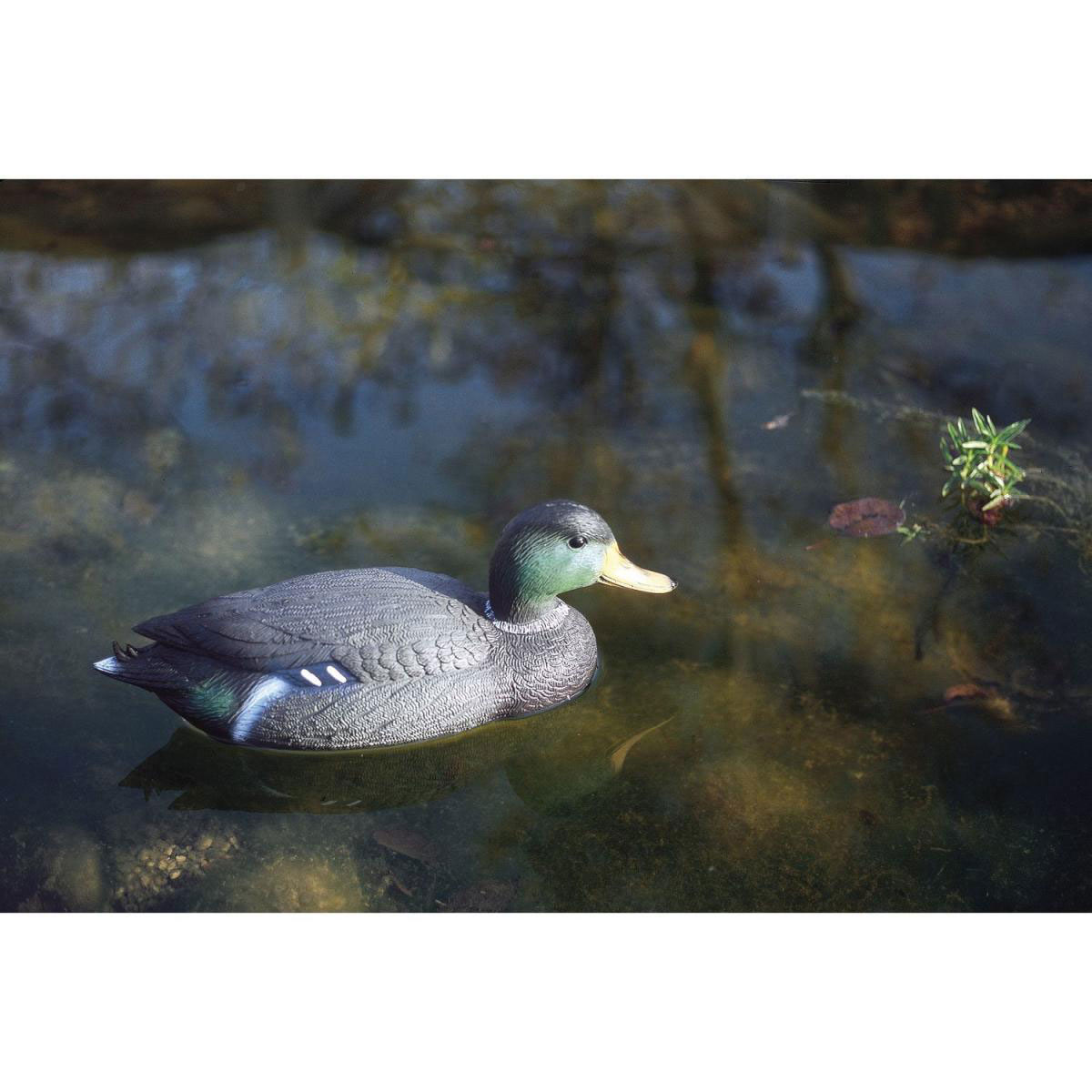 Oase Teichfigur Stockente weiblich