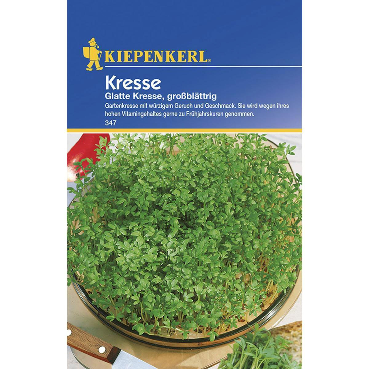 Kiepenkerl Kresse glatte großblättrig